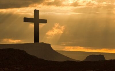 Faith and Doubt Story: What a Military Fridge Taught Me About Trusting God