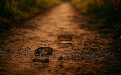 How to Make Habits Feel Automatic (Without Motivation or Guilt)